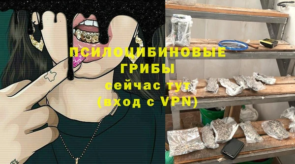 2c-b Белокуриха