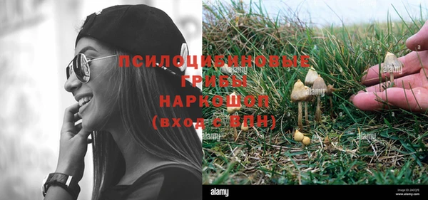 2c-b Белокуриха