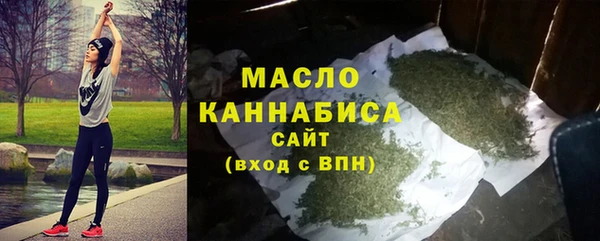 сатива Елизово