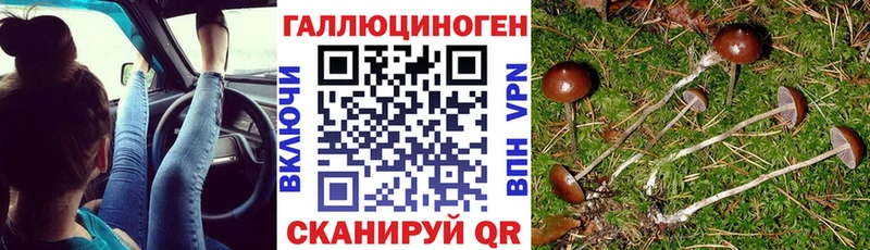 mega ссылка  где купить наркотик  Вяземский  Галлюциногенные грибы Cubensis 