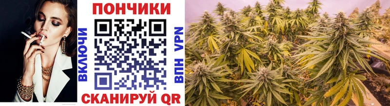 купить наркоту  Вяземский  Конопля Amnesia 